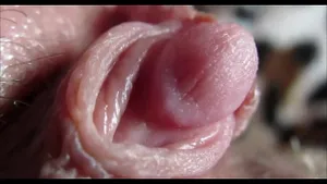 Gros plan orgasme intense avec clitoris énorme