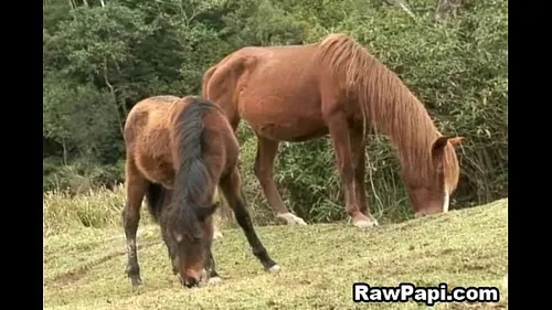 Gay hardcore bareback : duo mâle baise brutal amateur