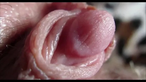 Gros plan orgasme intense avec clitoris énorme